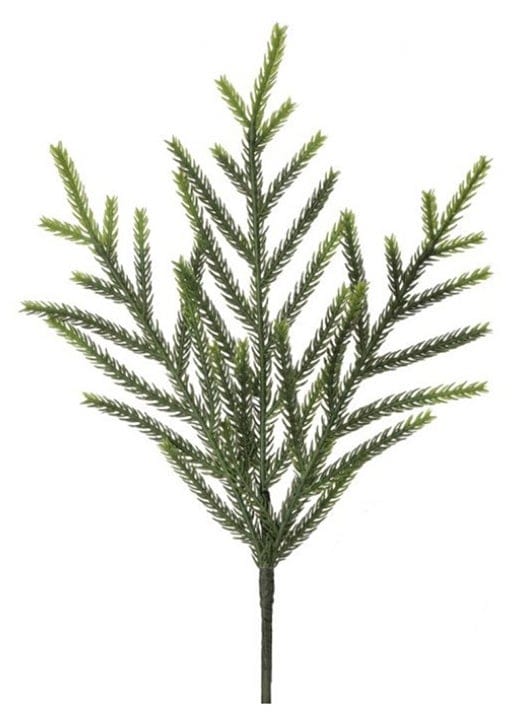 Wills Seasonal Decor Norfolk Pine Pick