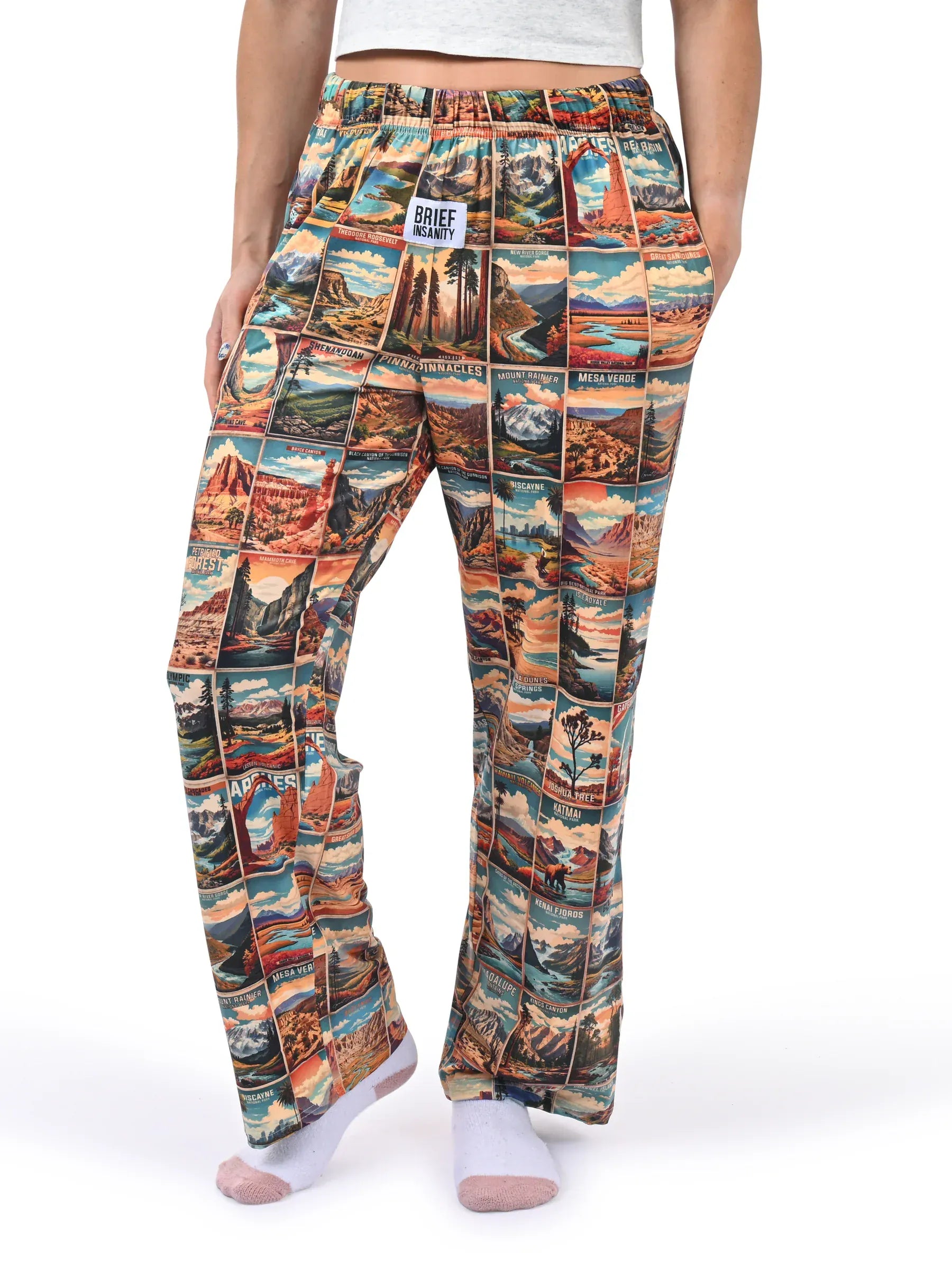 Brief Insanity Lounge Pants Parks Across America Lounge Pants Lounge Pants