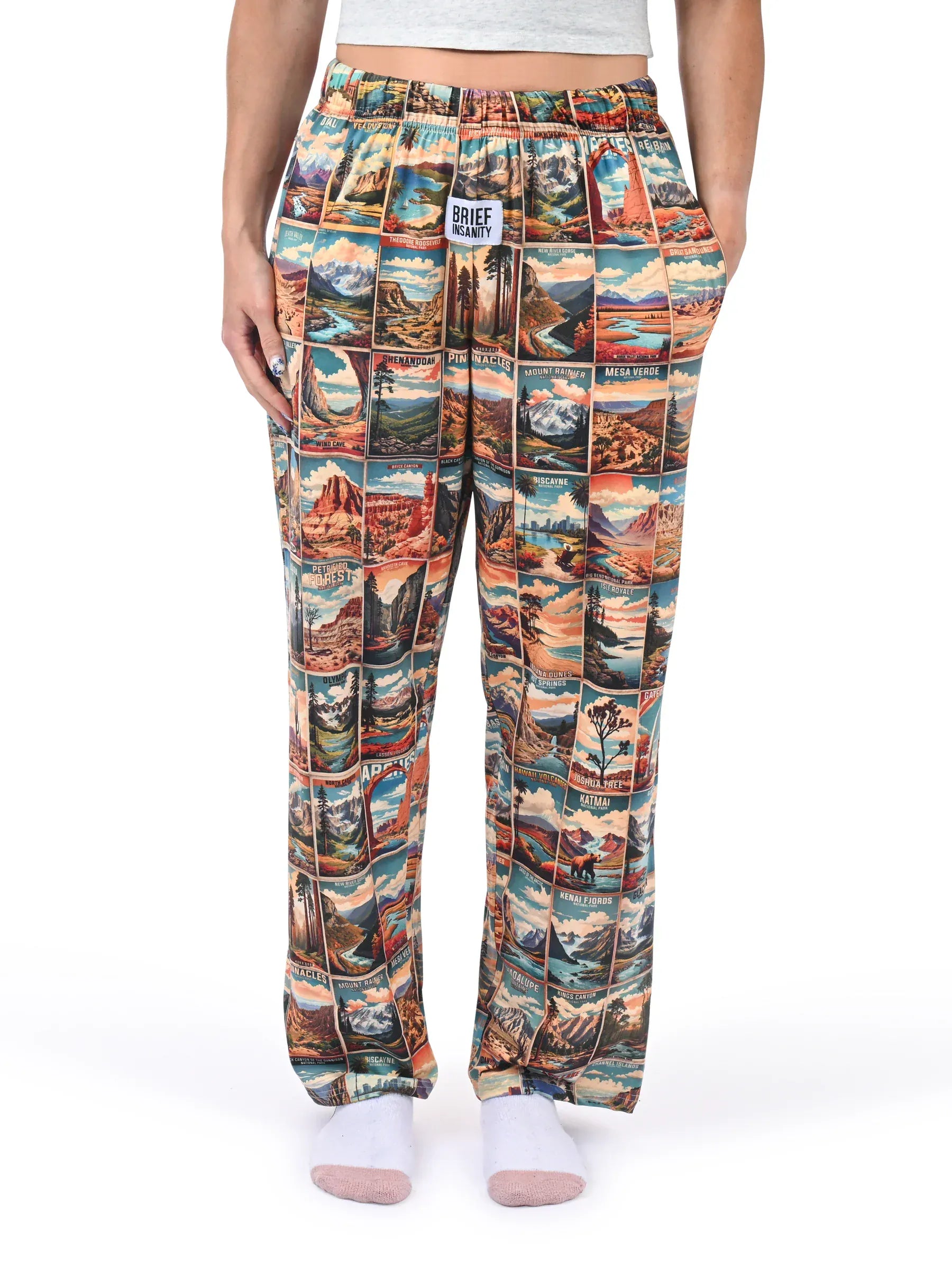 Parks Across America Lounge Pants Lounge Pants