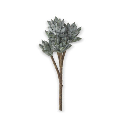 Powdered Green 5 Head Succulent Pick