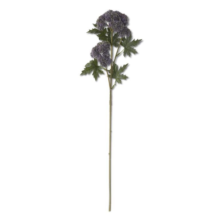Purple Sedum Stem