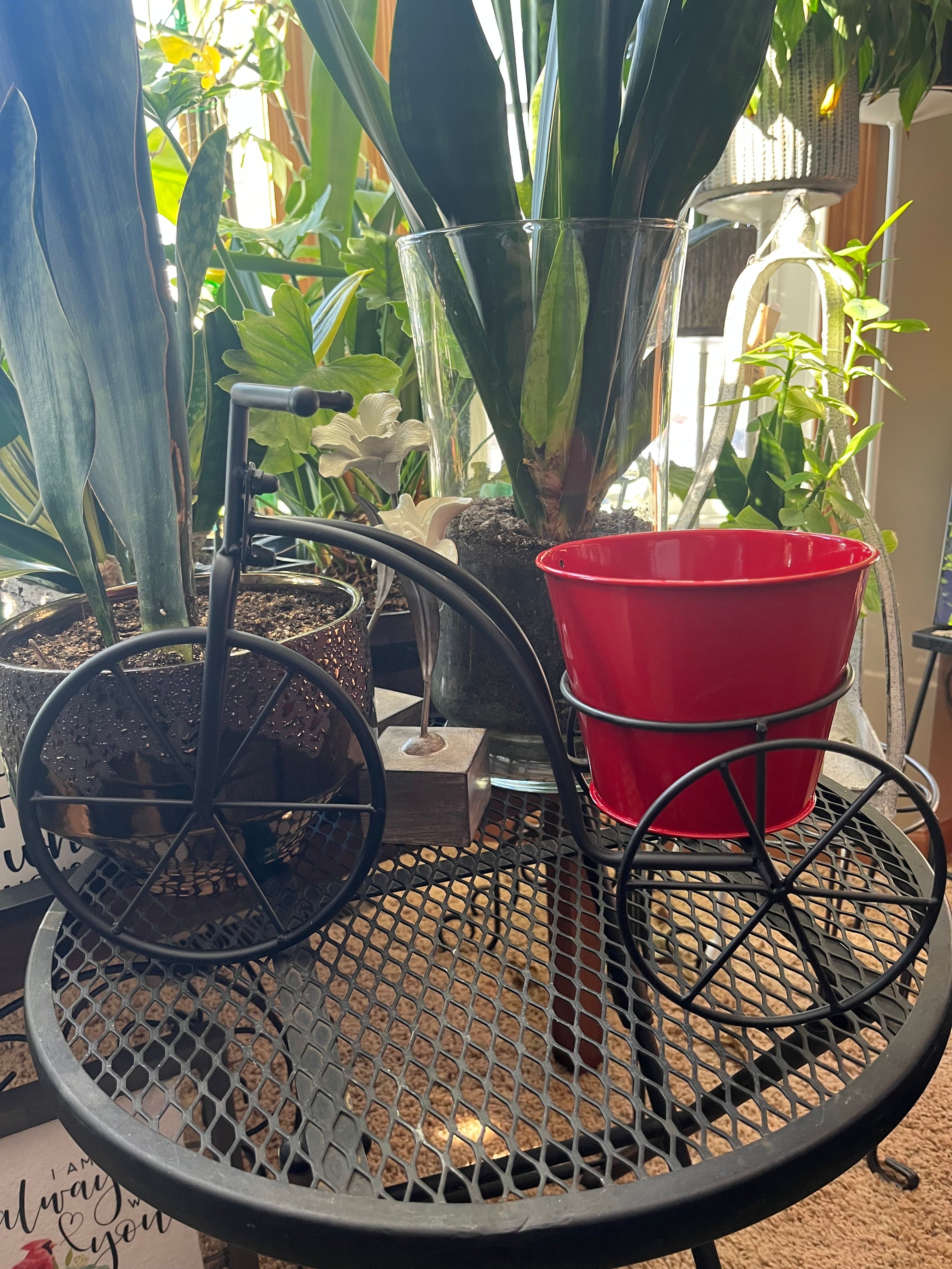 Red Bucket Planter Trike