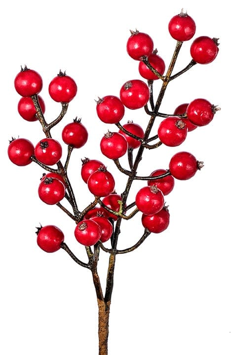 Wills Seasonal Decor Red Winter Berry Pick