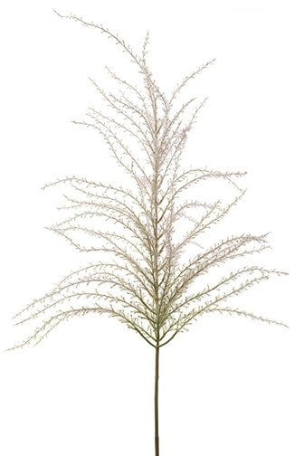 Will's floral pick Reed Grass Spray