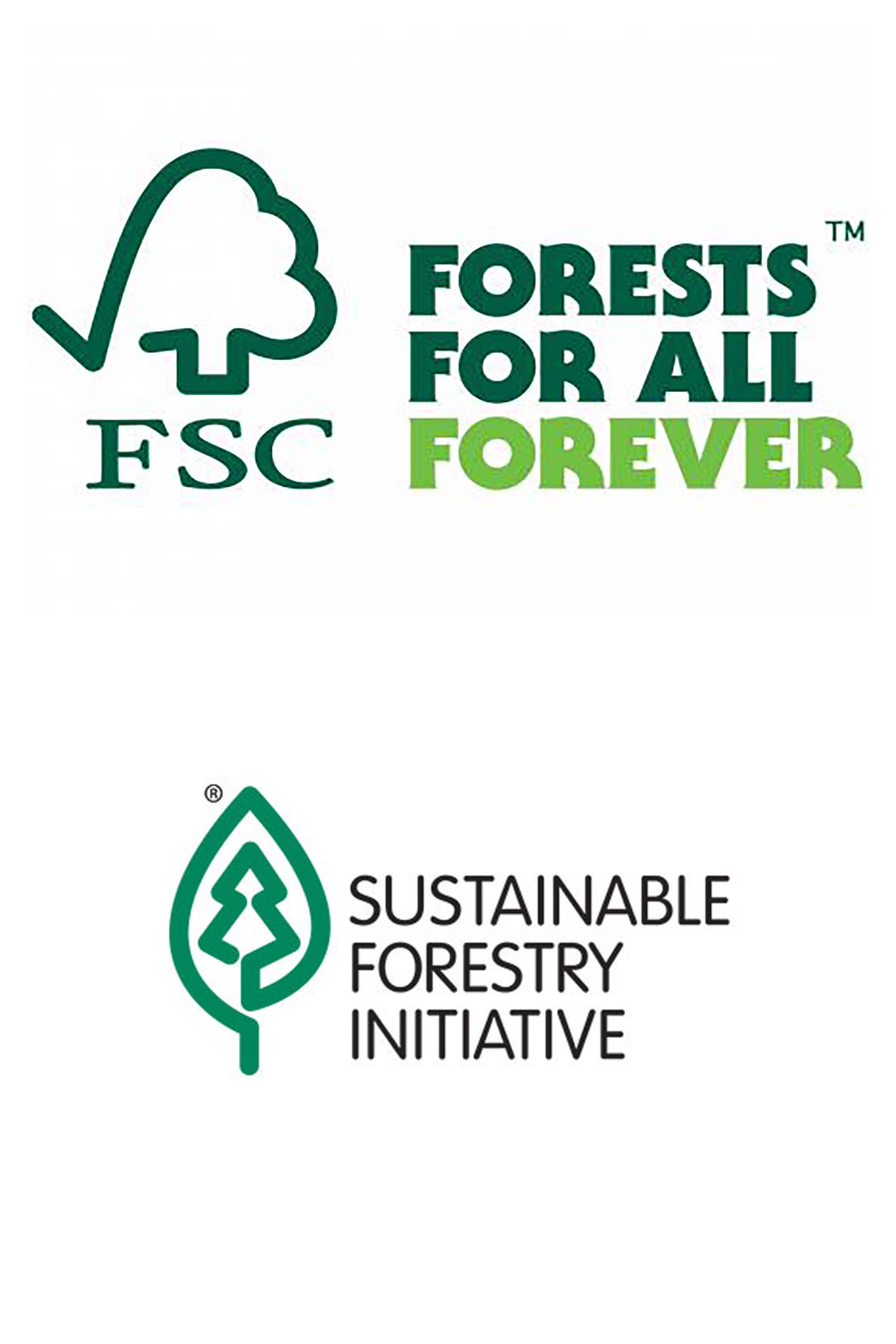 Santa & Birds Greeting Card