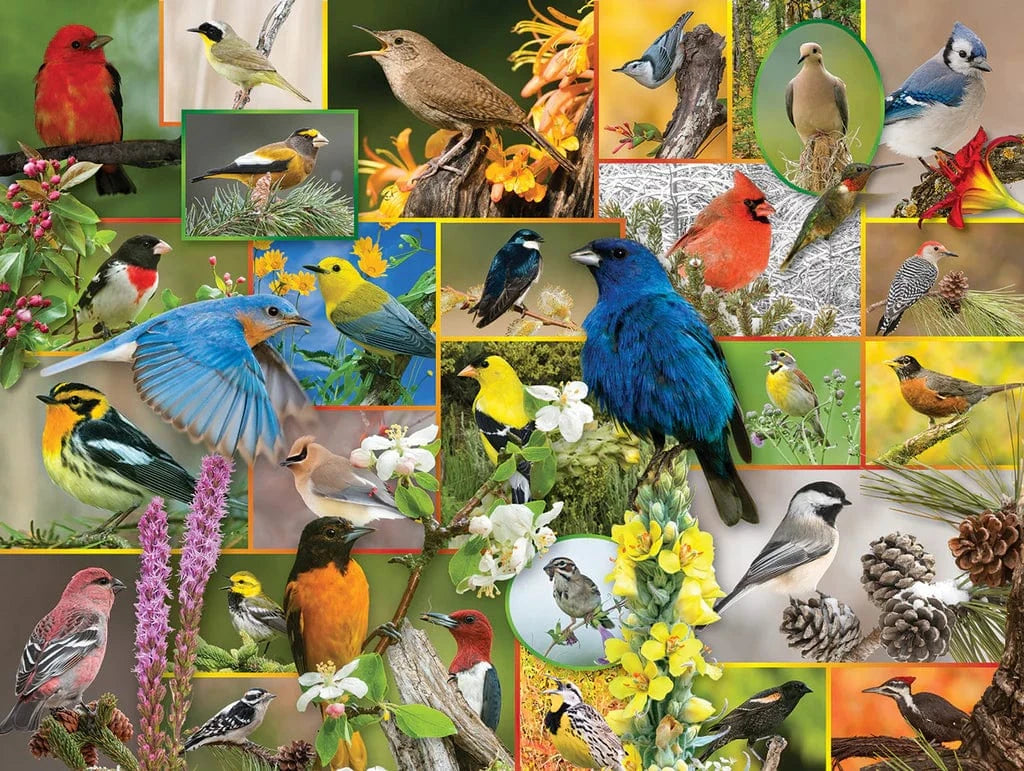 Maynards, LLC Puzzles Songbird Serenade Puzzle