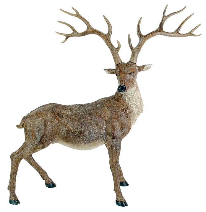 Standing Buck Deer