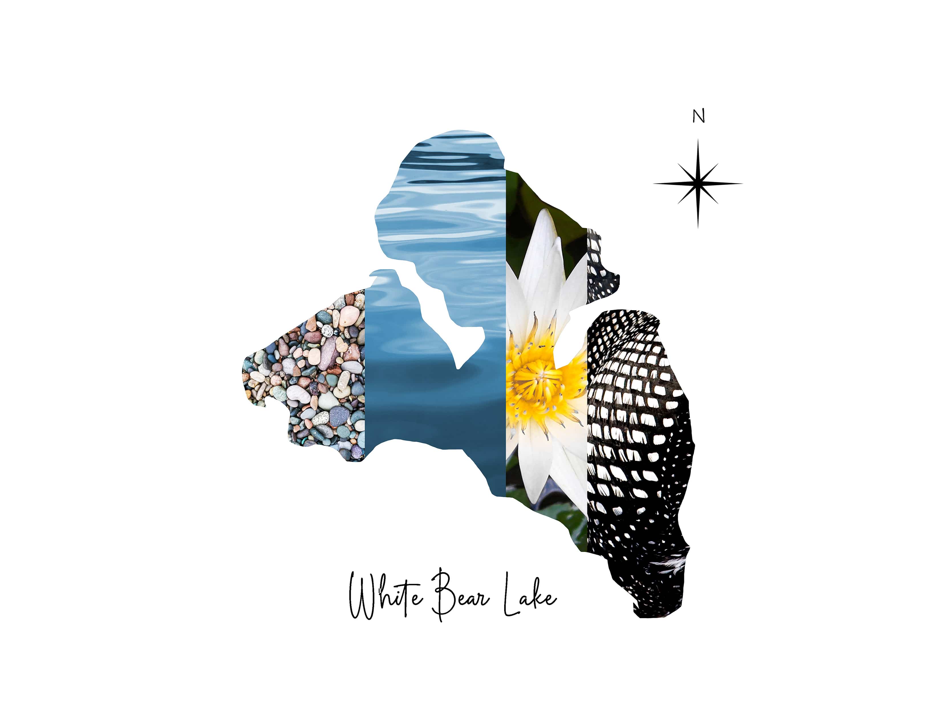 AB #26 (Alyssa B - Opal & Birch)) Artwork White Bear Lake Collage Photo Print