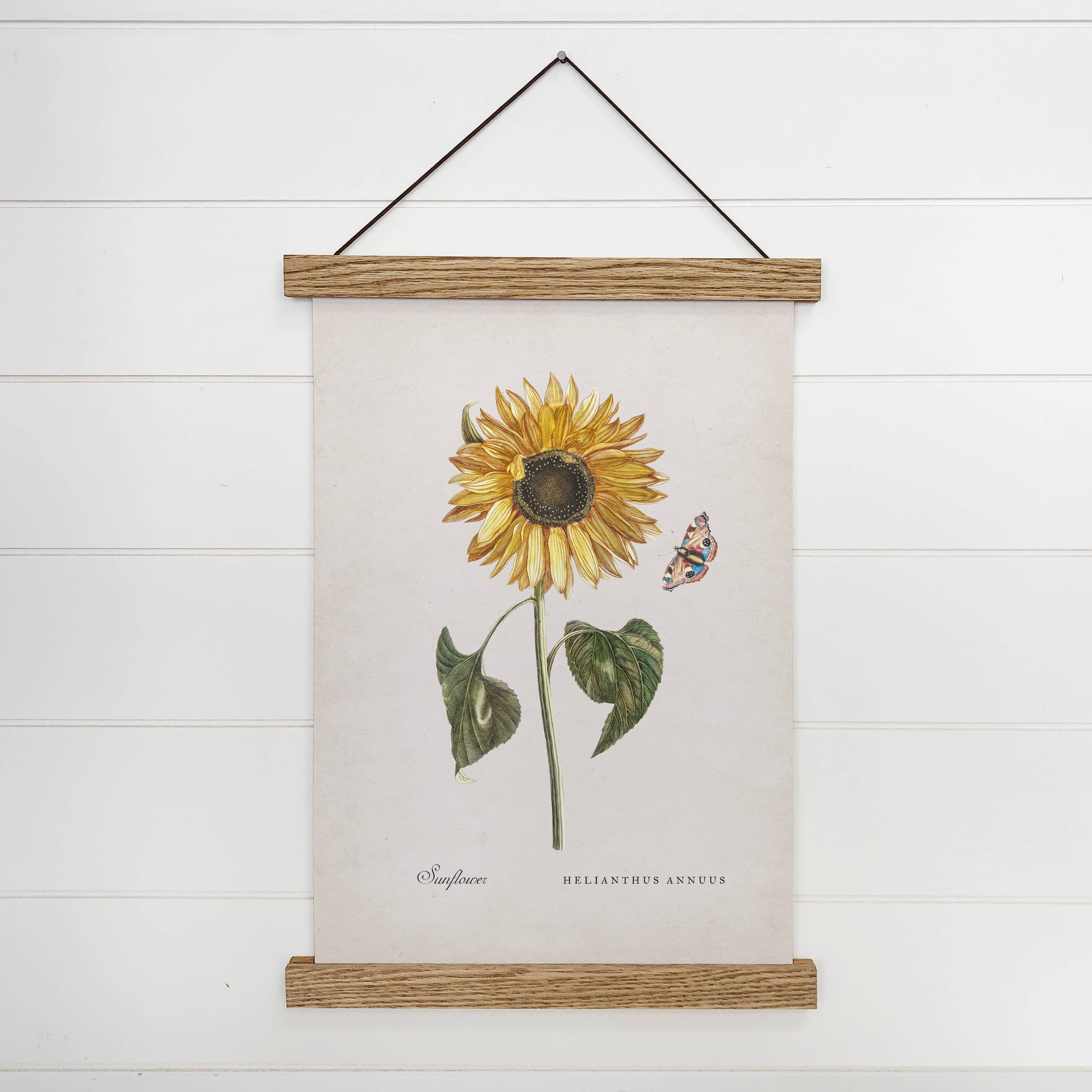 Hangout Home Yellow Botanical Sunflower Hanging Canvas with Wooden Frame: 8x10" Small Canvas Art with Wood Hanger Frame