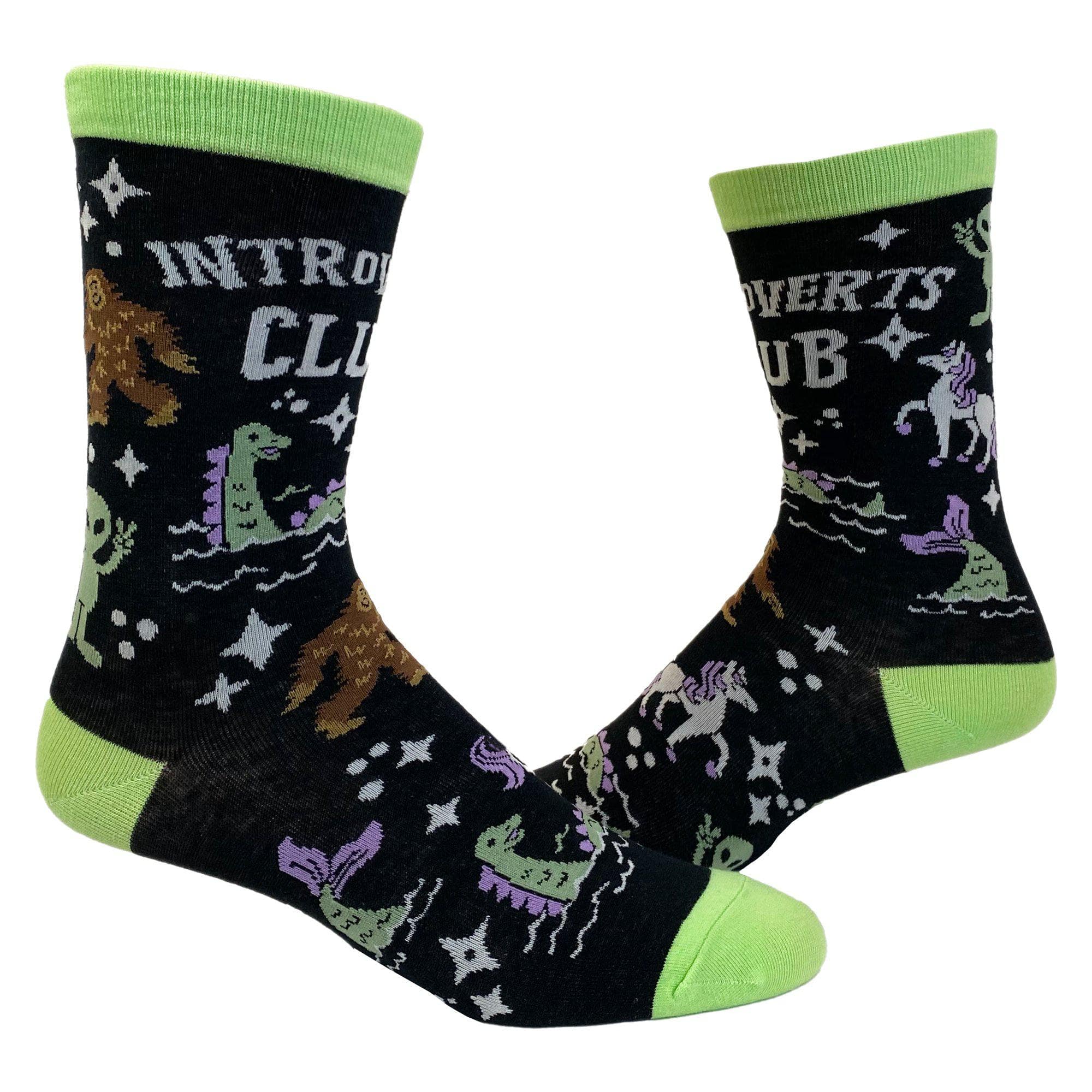 Introverts Club Women's Socks