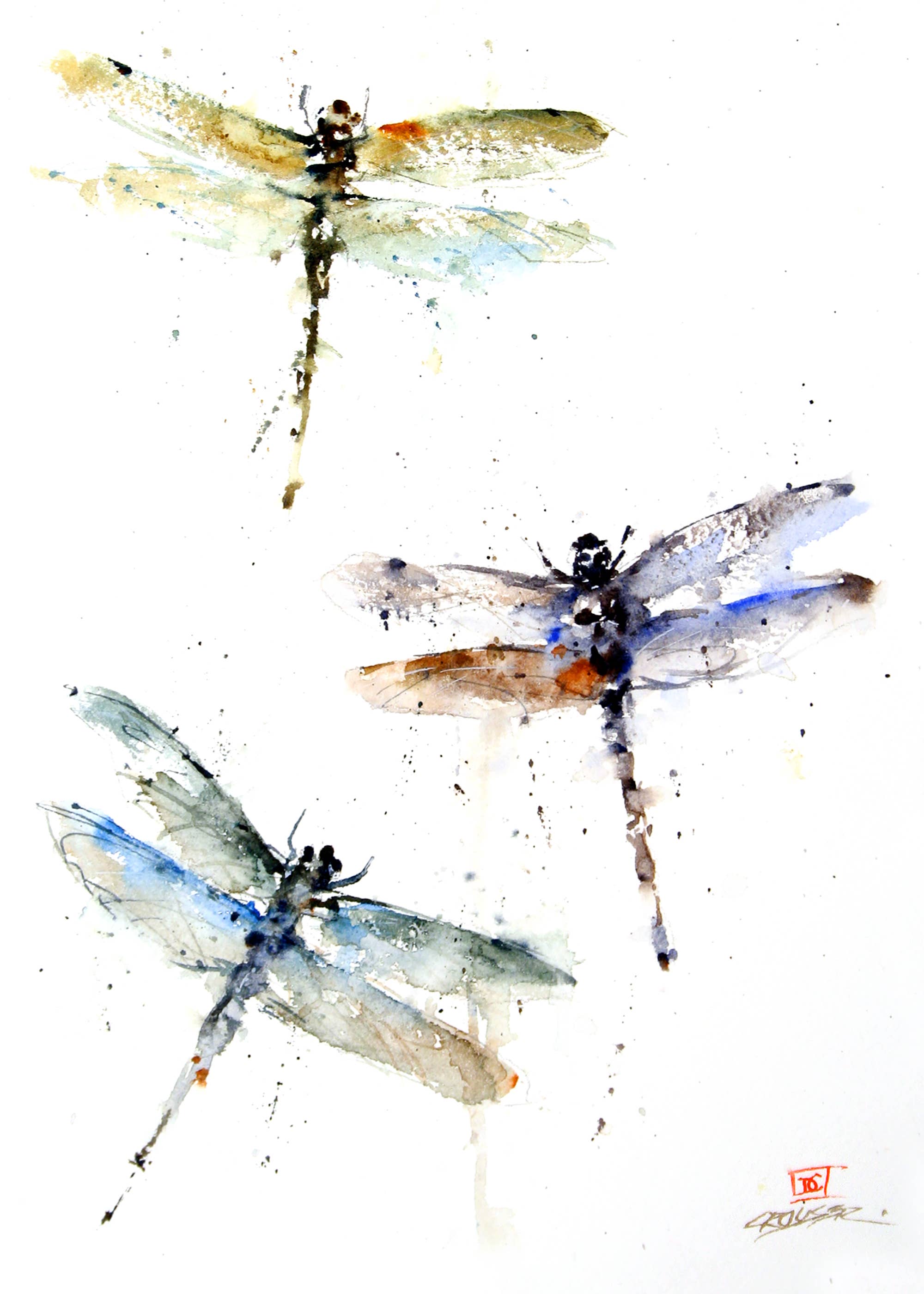 Dragonflies 5 x 7