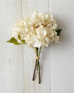 Cream Hydrangea Bunch - 14