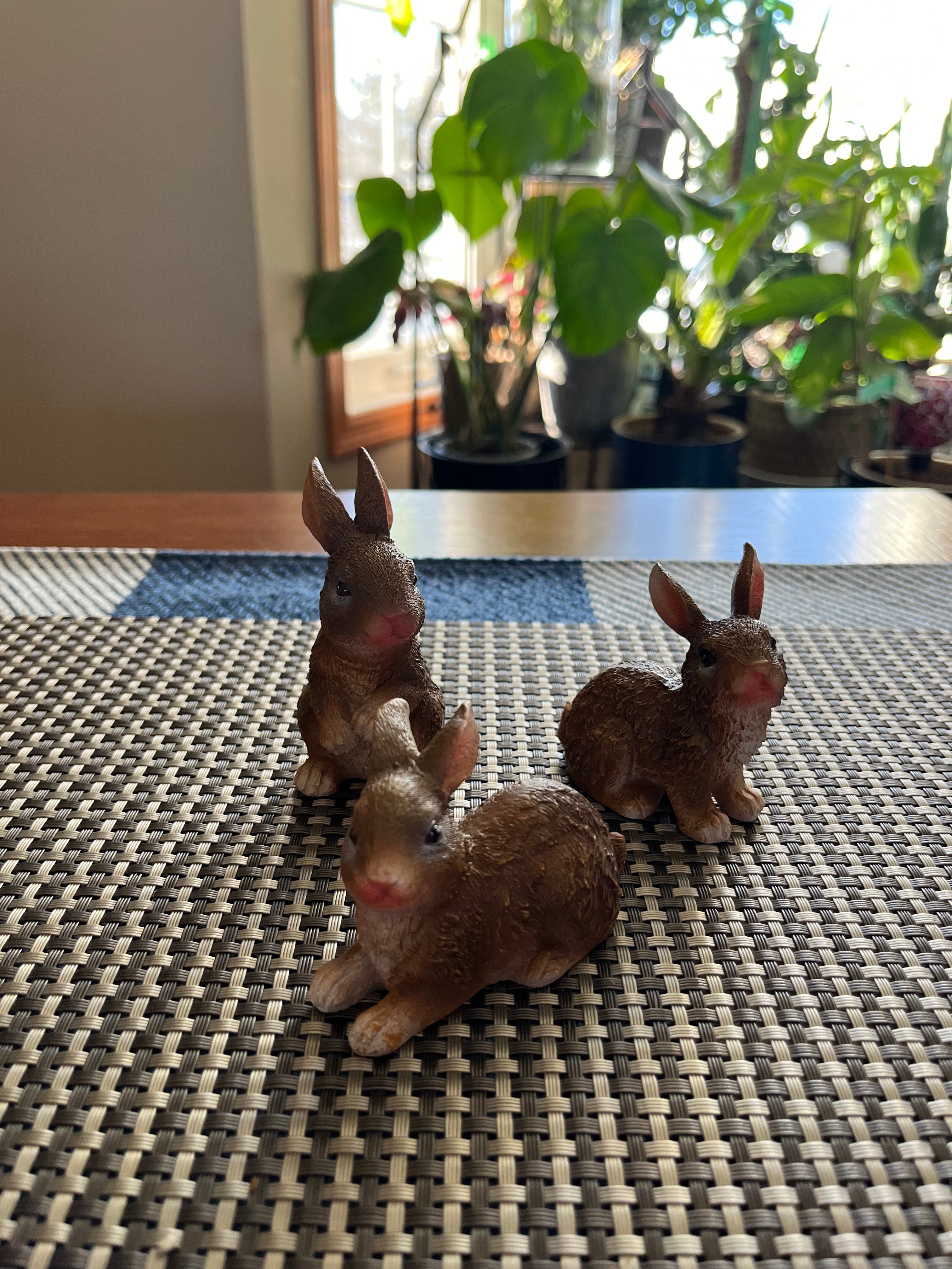 Assorted Sitting Bunnies