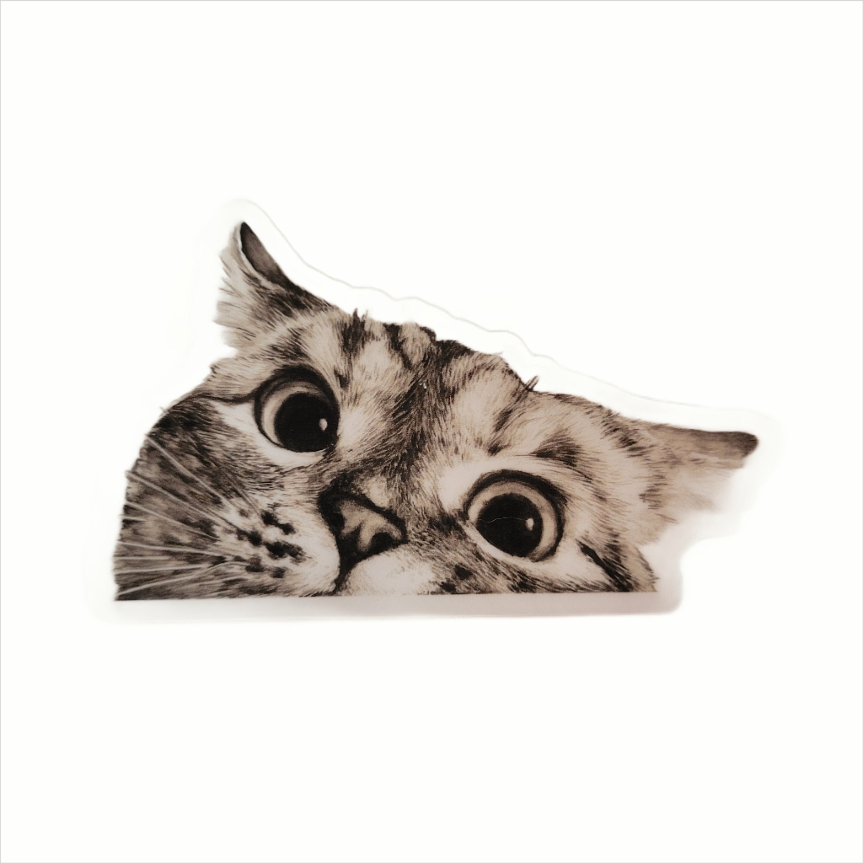 Cat Peeking Vinyl Sicker