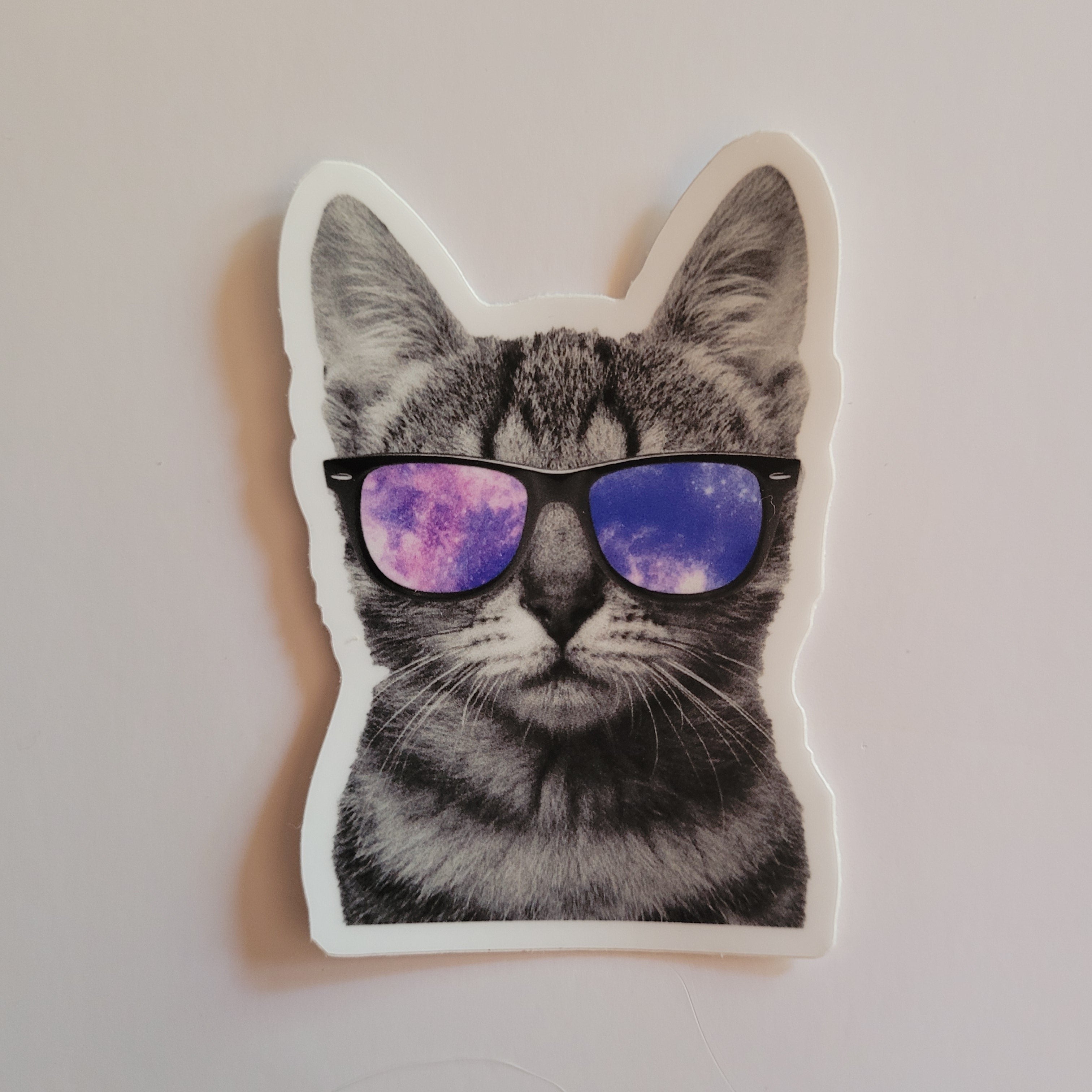 Cat with Sunglasses