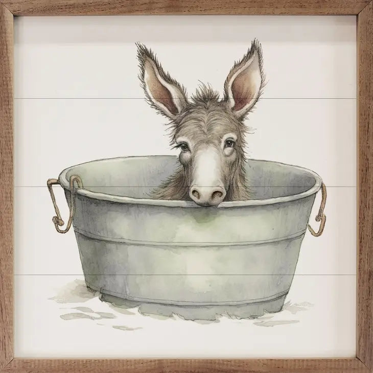 Donkey Foal in a Round Tub