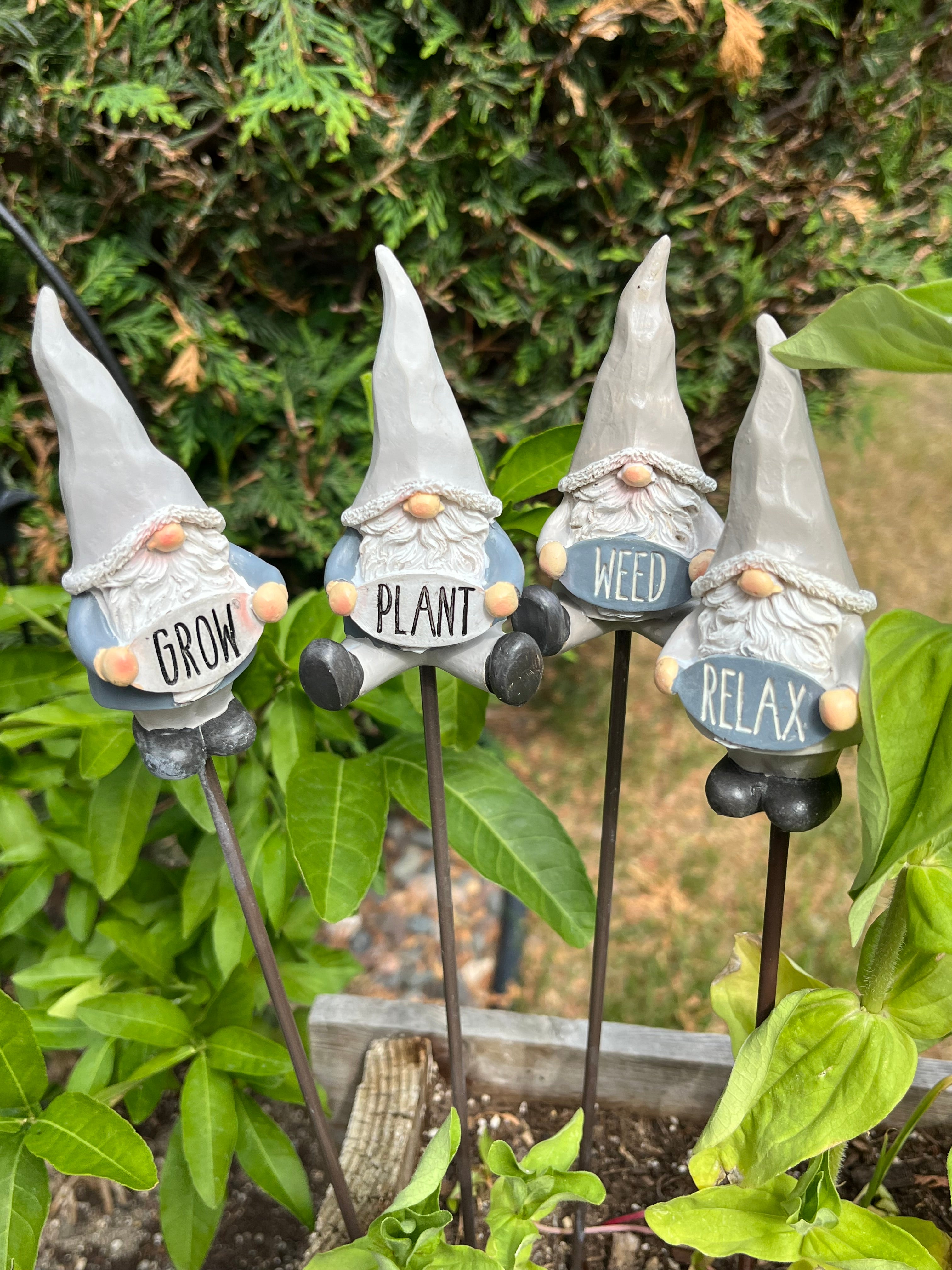 Gnome Plant Pick