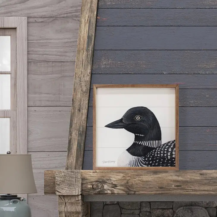 Elegant Loon Picture