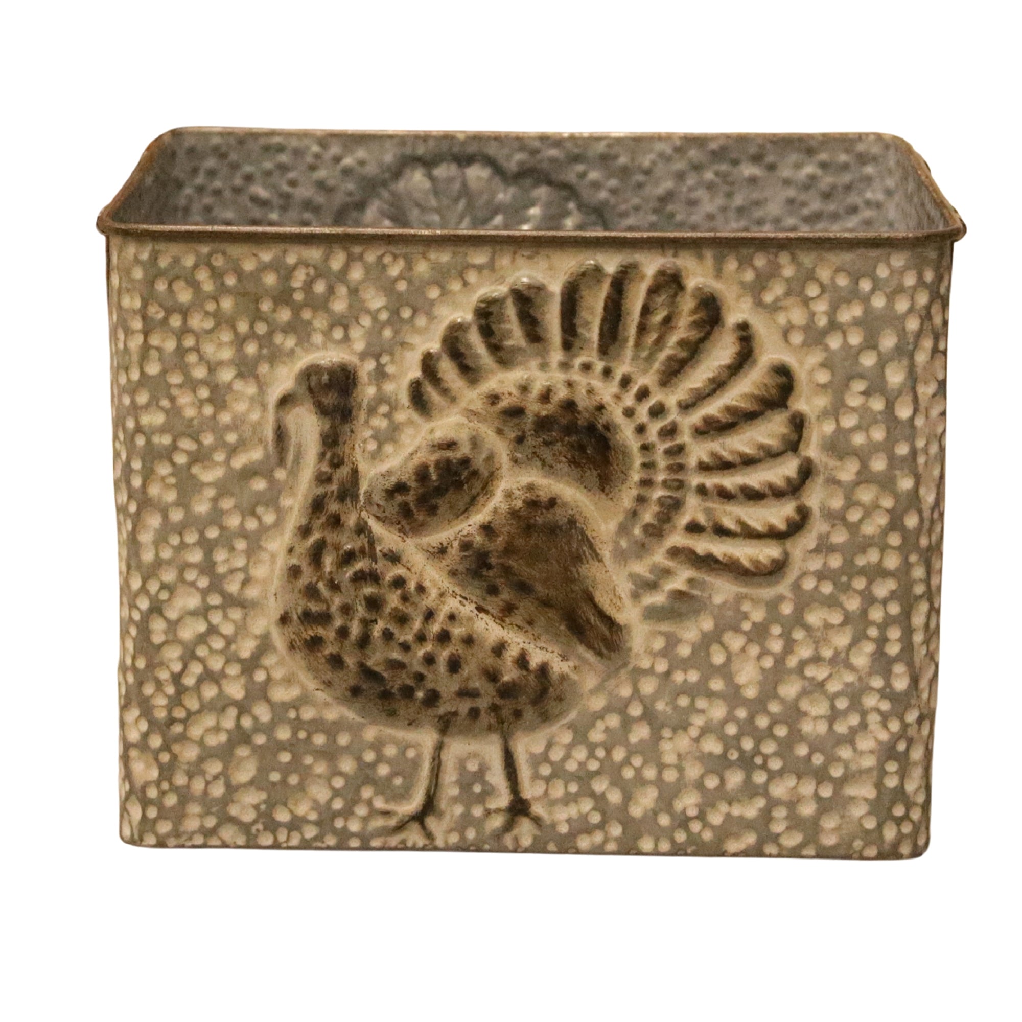 Gray & Brown Turkey Bucket